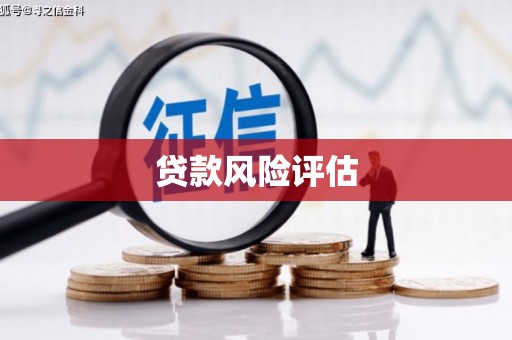 未央贷款风险评估