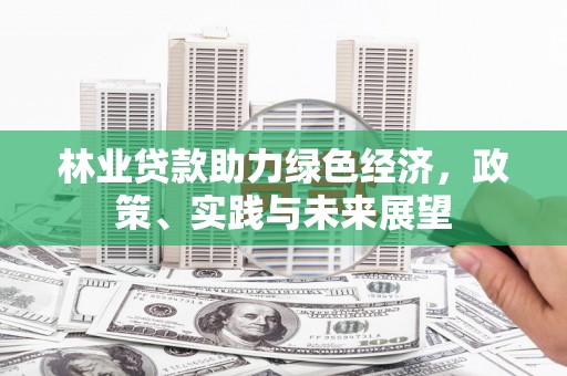 未央林业贷款助力绿色经济，政策、实践与未来展望