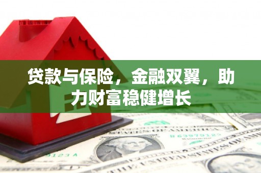 未央贷款与保险，金融双翼，助力财富稳健增长